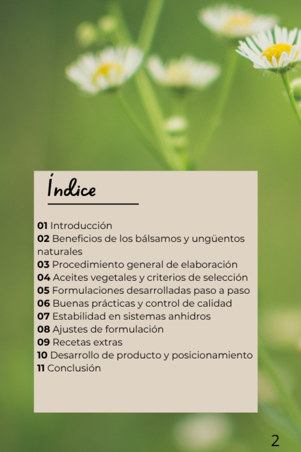 E-book: Bálsamos Naturales